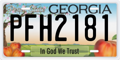 GA license plate PFH2181