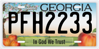 GA license plate PFH2233