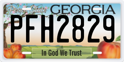 GA license plate PFH2829