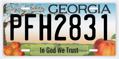 GA license plate PFH2831