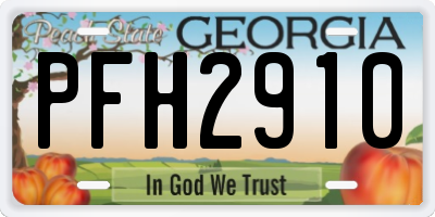 GA license plate PFH2910