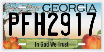 GA license plate PFH2917