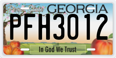 GA license plate PFH3012