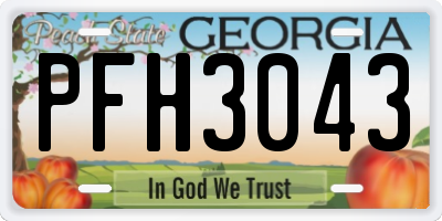 GA license plate PFH3043