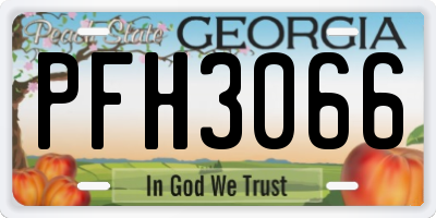 GA license plate PFH3066