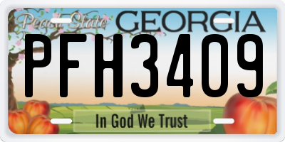 GA license plate PFH3409