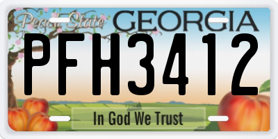 GA license plate PFH3412