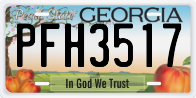 GA license plate PFH3517