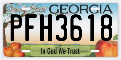 GA license plate PFH3618