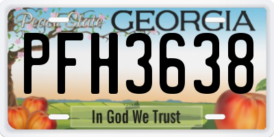 GA license plate PFH3638