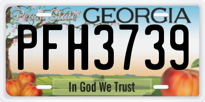 GA license plate PFH3739