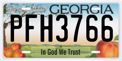GA license plate PFH3766
