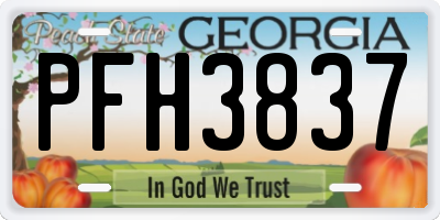 GA license plate PFH3837