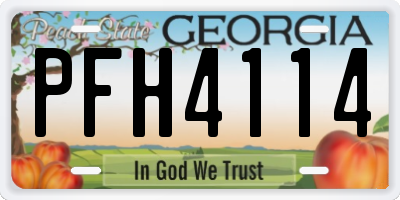 GA license plate PFH4114