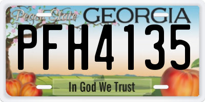 GA license plate PFH4135