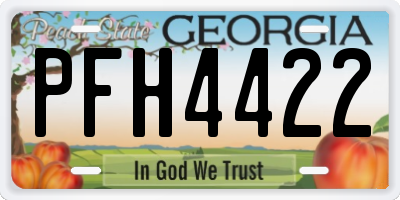 GA license plate PFH4422