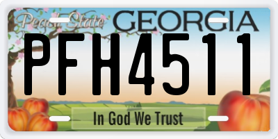 GA license plate PFH4511