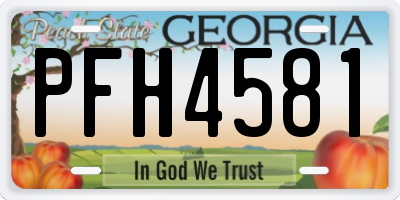 GA license plate PFH4581