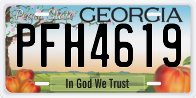 GA license plate PFH4619