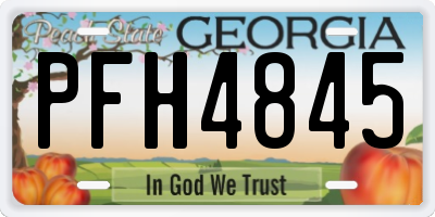 GA license plate PFH4845