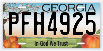 GA license plate PFH4925