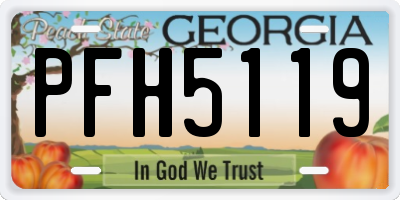 GA license plate PFH5119