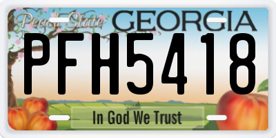 GA license plate PFH5418