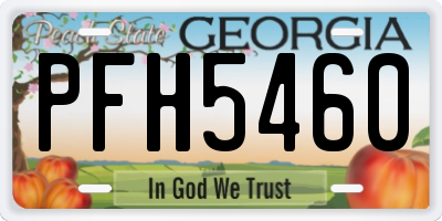 GA license plate PFH5460