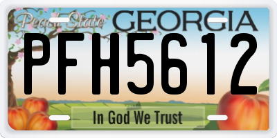 GA license plate PFH5612