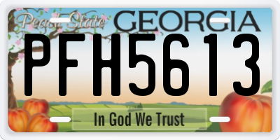 GA license plate PFH5613
