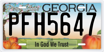 GA license plate PFH5647