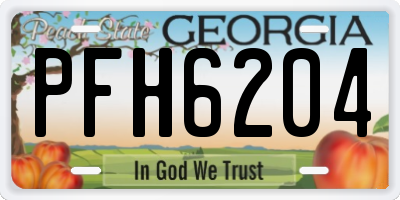 GA license plate PFH6204