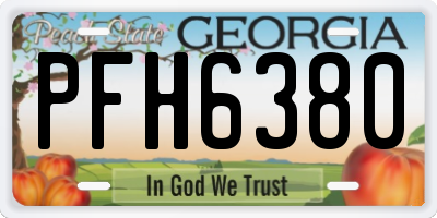 GA license plate PFH6380