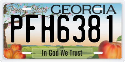 GA license plate PFH6381