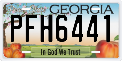 GA license plate PFH6441