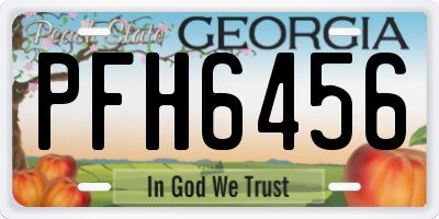 GA license plate PFH6456