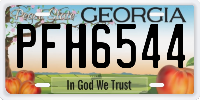 GA license plate PFH6544