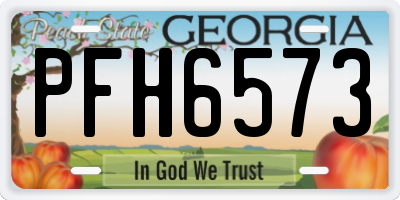 GA license plate PFH6573
