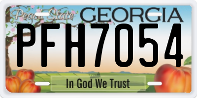 GA license plate PFH7054
