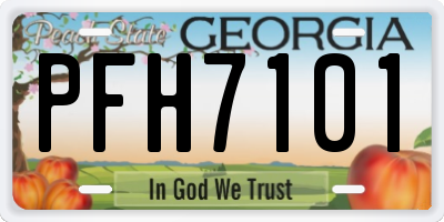 GA license plate PFH7101