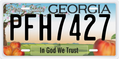 GA license plate PFH7427