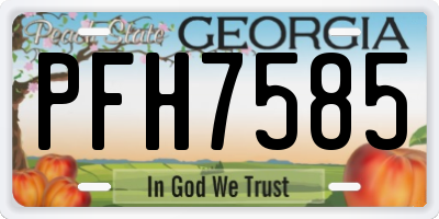 GA license plate PFH7585