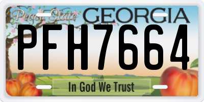 GA license plate PFH7664