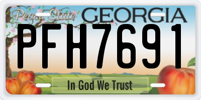 GA license plate PFH7691