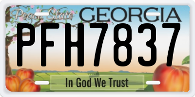 GA license plate PFH7837