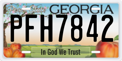 GA license plate PFH7842
