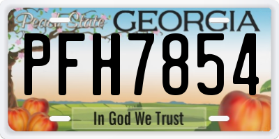 GA license plate PFH7854