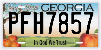 GA license plate PFH7857