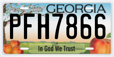 GA license plate PFH7866