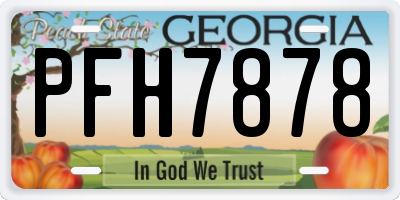 GA license plate PFH7878